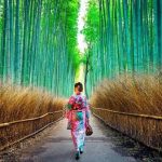 Cẩm nang du lịch Kyoto dành cho những tín đồ yêu Nhật Bản