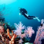 Đảo Bunaken – Thiên đường lặn biển cho tâm hồn mê khám phá