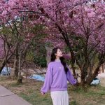 Tìm hiểu nền văn hóa phong tục Đài Loan – đảo quốc xinh đẹp