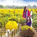 Tour Cần Thơ – Xẻo Quýt – Sa Đéc – Cao Lãnh 1 ngày