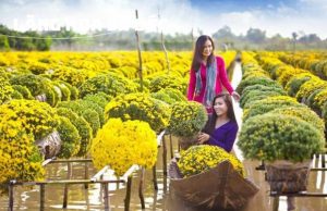 Tour Cần Thơ – Xẻo Quýt – Sa Đéc – Cao Lãnh 1 ngày