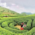 Tour du lịch Hà Nội – Mộc Châu – Sơn La – Điện Biên – Sapa – Phú Thọ 6N5Đ dịp Lễ 30/4/2024