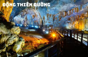 Tour 1 Ngày Đến Động Thiên Đường Từ Huế: Hành Trình Khám Phá Hoàng Cung Trong Lòng Đất