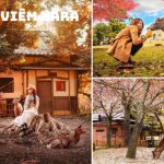 Tour du lịch Nhật Bản lễ 30/4 5N5Đ đi Osaka – Kyoto – Nara – Fuji – Tokyo
