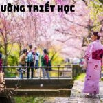 Tour hoa anh đào Nhật Bản 5N5Đ: Ngắm hoa anh đào Cung đường vàng