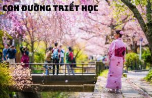Tour hoa anh đào Nhật Bản 5N5Đ: Ngắm hoa anh đào Cung đường vàng