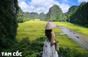 Tour Hoa Lư – Tam Cốc 1 Ngày: Khám Phá Di Sản Thế Giới