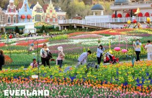 Tour lễ 30/4/2024 du lịch Hàn Quốc 5 ngày 5 đêm từ TP.HCM