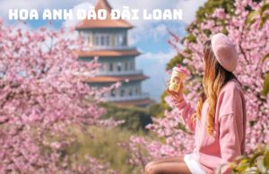 Tour hoa anh đào Đài Loan 5N4Đ từ TP.HCM | Đài Trung – Đài Bắc – Cao Hùng