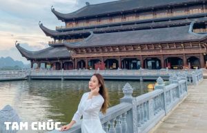 Tour Tam Chúc – Chùa Cây Thị 1 Ngày: Khám Phá Vẻ Đẹp Tâm Linh