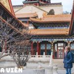 Tour Trung Quốc 6N6Đ: Thượng Hải – Ô Trấn – Hàng Châu – Bắc Kinh