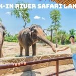 Tour Vinpearl Land Nam Hội An 1 Ngày – Trải Nghiệm Độc Đáo