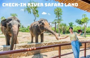 Tour Vinpearl Land Nam Hội An 1 Ngày – Trải Nghiệm Độc Đáo