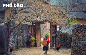 Tour 30/4 Hà Giang Cao Bằng 4N3D từ Đà Nẵng | Vietnam Booking
