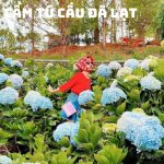 Tour City Đà Lạt 1 ngày