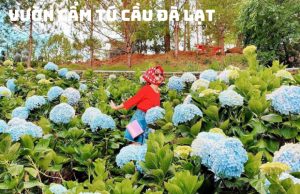 Tour City Đà Lạt 1 ngày