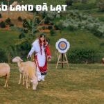 Tour du lịch Đà Lạt thác Pongour Mongoland 3N2Đ | Đèo Mimosa – Mongo Land – Thung Lũng Đèn