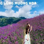Tour Hạ Long Sapa 4N3Đ từ Đà Nẵng – Khám Phá Vẻ Đẹp Miền Bắc Độc Đáo