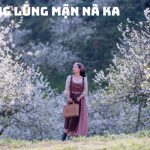 Tour Mai Châu Mộc Châu Sơn La Điện Biên 4N3Đ | Thung Lũng Mai Châu – Đồi Chè Trái Tim – Thung lũng Nà Ka