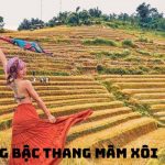 Tour Mù Cang Chải – Sapa – Lai Châu – Điện Biên – Mộc Châu – Mai Châu 5N4D