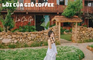 Tour Đà Lạt 3 Ngày 3 Đêm: Hành Trình Lãng Mạn Xe Giường Nằm Đến Thung Lũng Tình Yêu