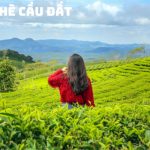 Tour Đà Lạt mùa hè Datanla Puppy Farm 4N3Đ