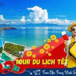 Tour Nha Trang Vịnh San Hô 3N3Đ: Giá ưu đãi, dịch vụ chất lượng