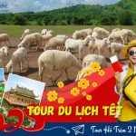 Tour Hồ Tràm 2 Ngày 1 Đêm: Trải Nghiệm Khám Phá Biển Đảo Giá Tốt Trọn Gói