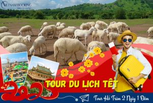 Tour Hồ Tràm 2 Ngày 1 Đêm: Trải Nghiệm Khám Phá Biển Đảo Giá Tốt Trọn Gói