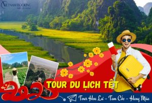 Tour 1 Ngày Hoa Lư – Tam Cốc – Hang Múa: Trải Nghiệm Mới Lạ tại Ninh Bình