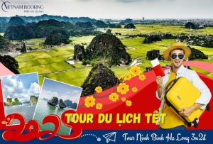 Tour Ninh Bình Hạ Long 3 ngày 2 đêm | Khám phá vẻ đẹp di sản thiên nhiên Việt Nam
