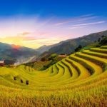Top 8 địa điểm du lịch mùa lúa chín đẹp nhất 2024